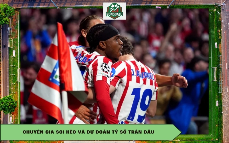Chuyên gia soi kèo và dự đoán tỷ số trận đấu
