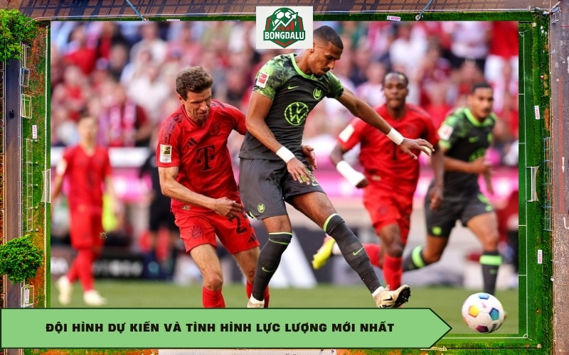 Đội hình dự kiến và tình hình lực lượng mới nhất