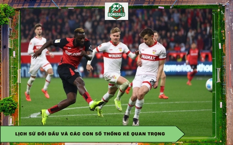 Lịch sử đối đầu và các con số thống kê quan trọng