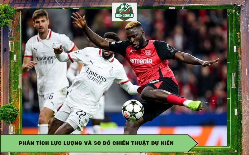 Phân tích lực lượng và sơ đồ chiến thuật dự kiến