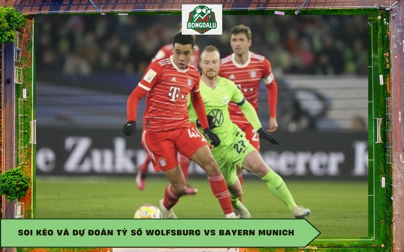 Soi kèo và dự đoán tỷ số Wolfsburg vs Bayern Munich