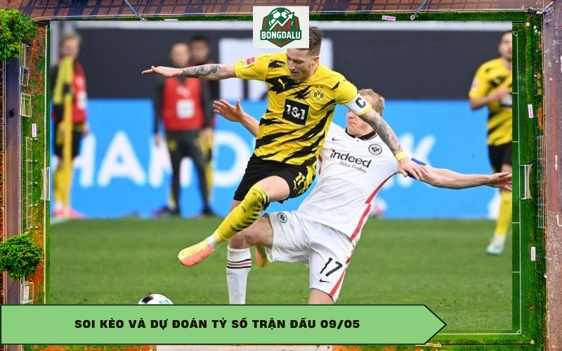 Soi kèo và dự đoán tỷ số trận đấu 09/05