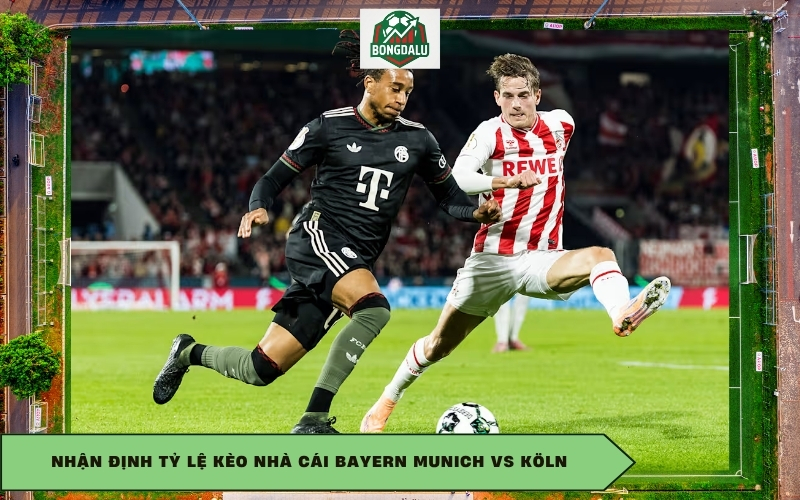 Nhận định tỷ lệ kèo nhà cái Bayern Munich vs Köln
