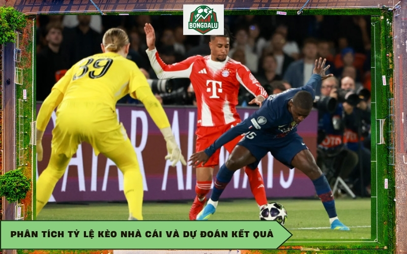 Phân tích tỷ lệ kèo nhà cái và dự đoán kết quả